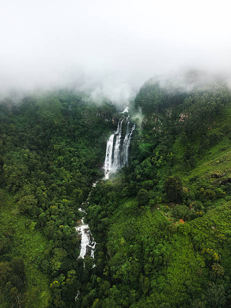 روایت داستانهای کردستان با هوش مصنوعی: استراتژی تولید محتوای سئو و بهینهسازی تجربه کاربری برای جذب گردشگر در اقامتگاههای بومگردی سنندج - طبیعت بکر کردستان - هوش مصنوعی و گردشگری