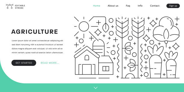 دیجیتال مارکتینگ کشاورزی و ساخت پورتال هوشمند B2B برای فروشگاههای کشاورزی در گرگان