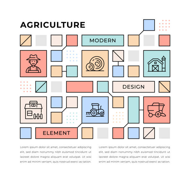 توانمندسازی قطب کشاورزی گلستان با دیجیتال مارکتینگ و سئو