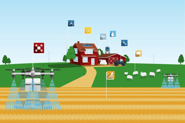 پهپاد سمپاش در مزرعه هوشمند: نقشه راه سئو B2B و ساخت پلتفرم یکپارچه برای شرکتهای کشاورزی هوشمند در گرگان