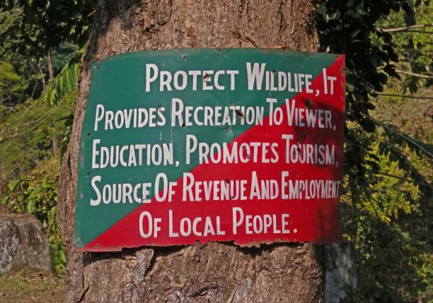 سایت آژانس بومگردی شیراز، نقش پشتیبانی سایت ۲۴ ساعته و بهینهسازی تجربه کاربری (UX) در موفقیت آژانسهای بومگردی