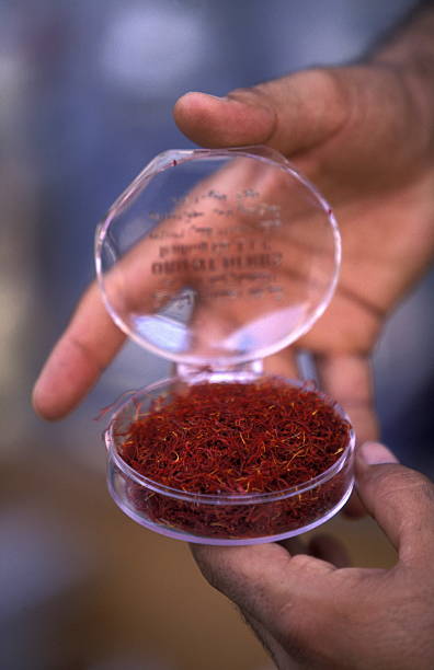 دبی و تجارت جهانی زعفران: استراتژی دیجیتال مارکتینگ B2B و ساخت پورتال مشتریان برای صادرکنندگان زعفران، بازاریابی دیجیتال B2B و بازار جهانی زعفران