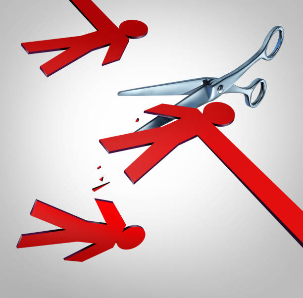 تصویر مفهومی حذف واسطهها و فروش مستقیم برای کارخانجات مواد غذایی مشهد با طراحی سایت D2C و استراتژی سئو بینالمللی