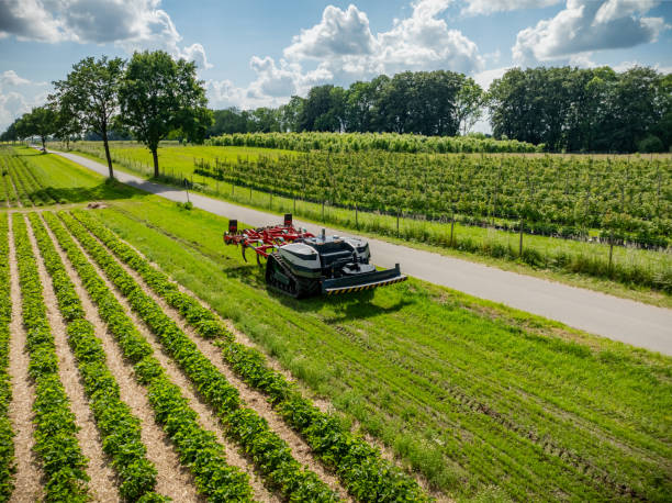 ربات کشاورزی خودمختار برای برداشت دقیق - تضمین برداشت دقیق در دشت قزوین، اینترنت اشیا کشاورزی