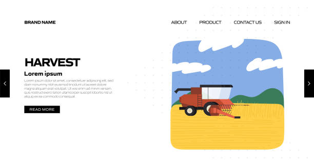 بازاریابی محصولات کشاورزی و برندسازی آنلاین با طراحی سایت D2C در ایران