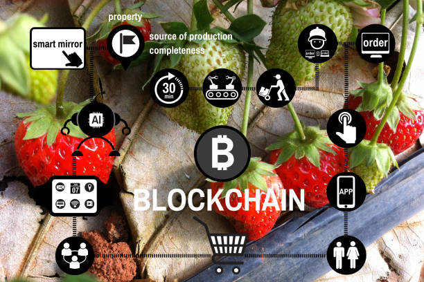 رهگیری بلاکچین برای تضمین اصالت محصولات ارگانیک آنلاین