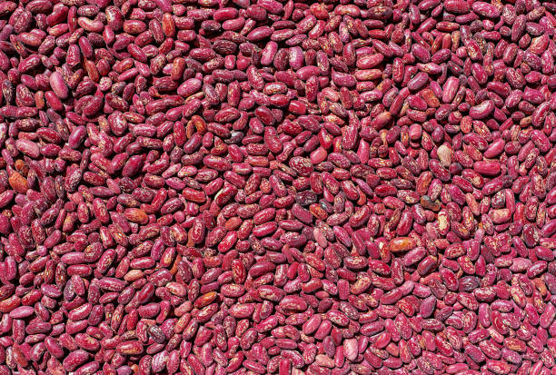 فروش مستقیم گیاهان دارویی و محصولات ارگانیک