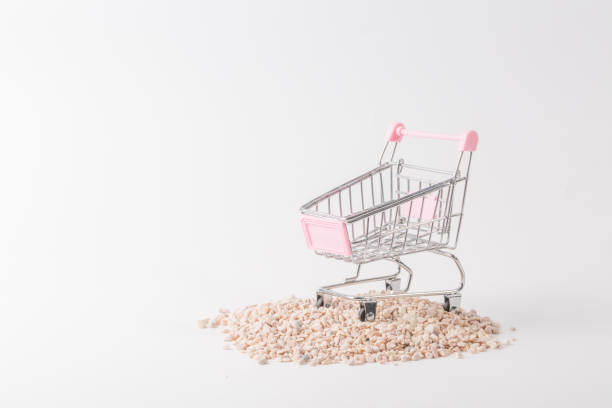 طراحی وبسایت فروشگاهی، پشتیبانی پیشبینانه سایت، مدیریت ریسک بورس