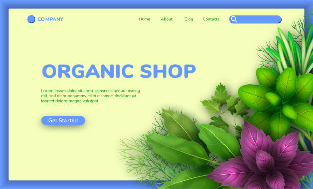 طراحی وبسایت D2C و بازاریابی دیجیتال برای فروشگاه ارگانیک آنلاین