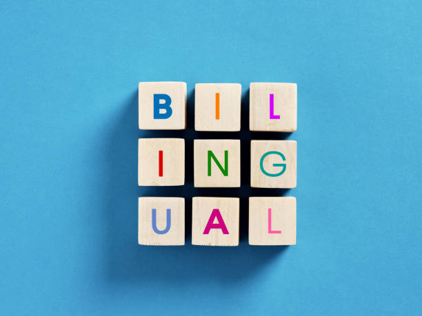 سئو دوزبانه فارسی و اردو برای ترخیص کالا از پاکستان