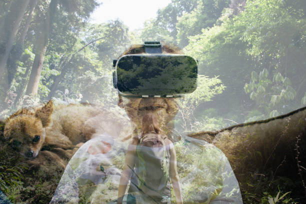 آینده تور مجازی اقامتگاه بومگردی و طراحی سایت VR