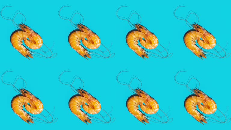 برندینگ دیجیتال و بازاریابی B2B میگو بوشهر