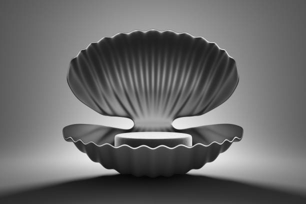 تجربه خرید جواهرات در اصفهان ۱۴۰۵: نقش طراحی سایت با واقعیت افزوده (AR) در تحول برندینگ دیجیتال و فروش آنلاین زرگران - جایگاه محصول لوکس