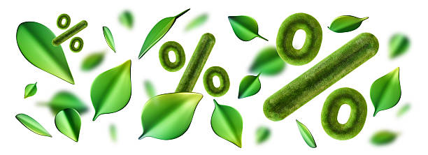 پیشنهاد ویژه طراحی وبسایت برای بوم گردی