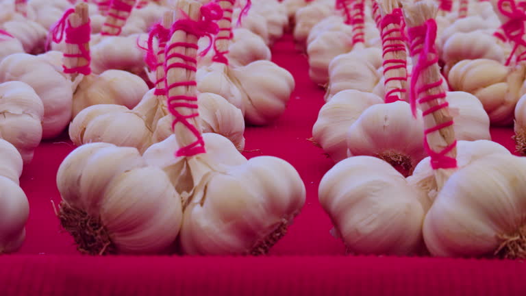 سیر همدان، طلای سفید ایران – محصولی با کیفیت جهانی برای صادرات