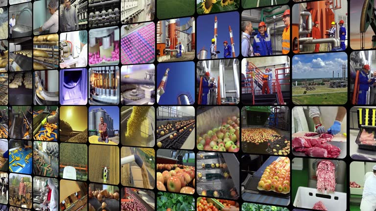 سئو صادراتی برای کارخانجات مواد غذایی رشت - افزایش صادرات مواد غذایی - پینو سایت