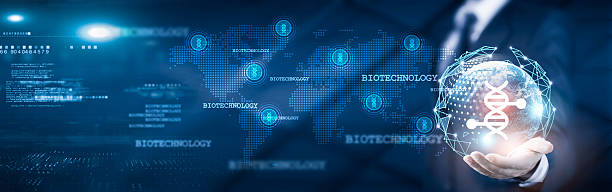 سئو بینالمللی و جذب شرکای تجاری خارجی