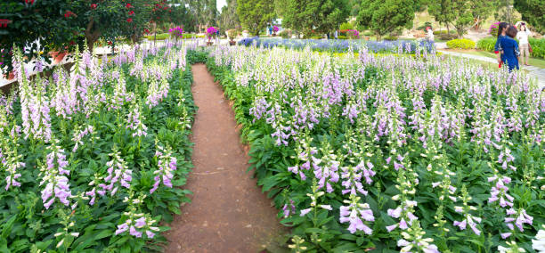 گردشگری زیبایی و جذب توریست درمانی به کلینیکهای پوست و مو مشهد - دیجیتال مارکتینگ سلامت