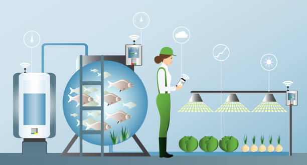 شفافیت از خزر تا آشپزخانه: نقشه راه برندینگ دیجیتال و طراحی سایت D2C با یکپارچهسازی IoT برای مزارع پرورش ماهی در انزلی - اینترنت اشیا در کشاورزی