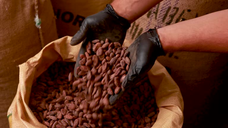 فروش آنلاین شیرینی با کیفیت و اصیل