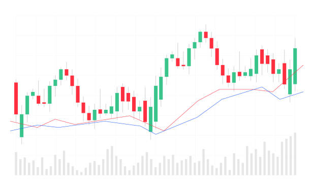 تحلیل بازار و رشد تجارت مرزی امن با سئو دوزبانه