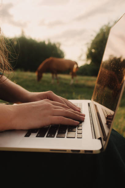 نقش حیاتی پشتیبانی سایت و سئو ویدئویی برای برندینگ دیجیتال پرورشدهندگان اسب در بجنورد | نمای نزدیک از دستهایی که در مزرعه بومگردی از لپتاپ استفاده میکنند