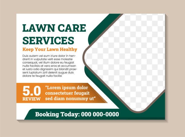 طراحی وبسایت در ایران توسط پینو سایت