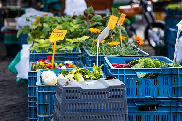 فروش مستقیم مرکبات ارگانیک، حذف واسطهها، بازاریابی مستقیم کشاورزان