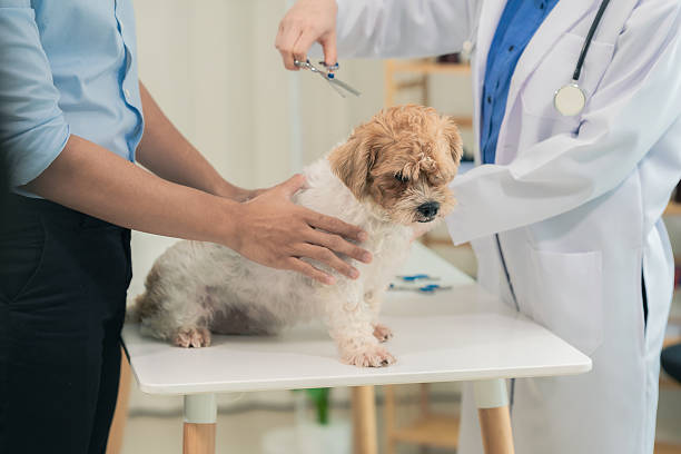 مراقبت و پشتیبانی سایت آزمایشگاه با تمرکز بر بیمار