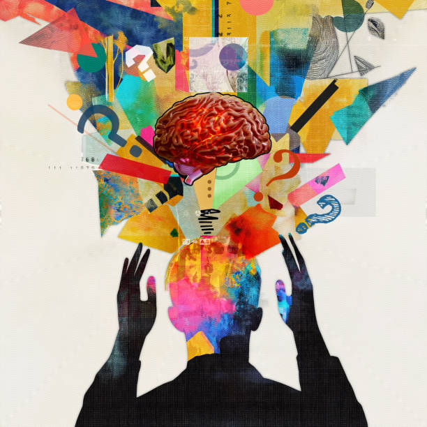 توسعه نرم افزار مدیریت هوشمند اعضا و استراتژی برندینگ دیجیتال ورزشی با تفکر خلاق در کرج