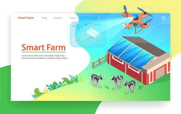 استفاده از ابزارهای دیجیتال مارکتینگ کشاورزی برای بازاریابی آنلاین و خدمات پینو سایت