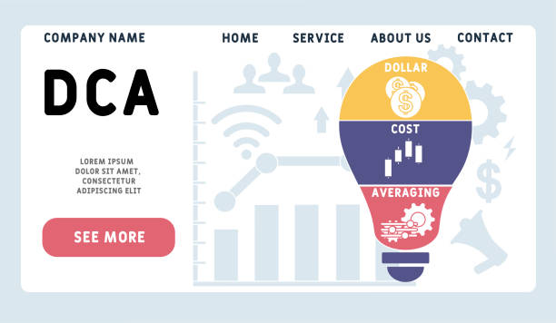 قیمت طراحی وبسایت D2C و فروش مستقیم چرم