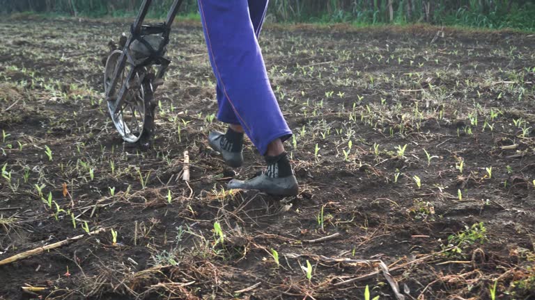 اتوماسیون سفارشات از پایتخت چرم ایران: نقش ساخت پورتال B2B و یکپارچهسازی با نرم افزار حسابداری برای تولیدیهای کفش تبریز - بهینهسازی فرآیندهای تولید و کاهش ضایعات