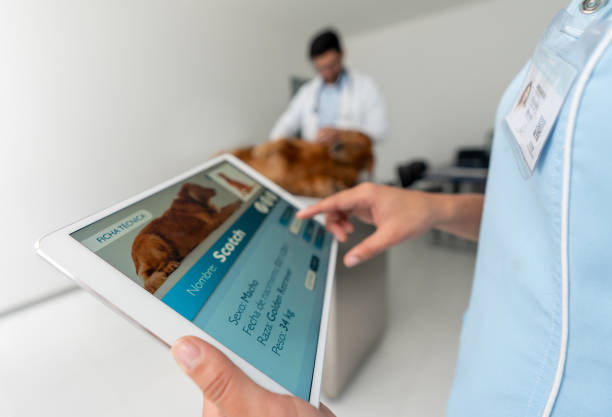 نرم افزار مدیریت کلینیک دامپزشکی با قابلیت پرونده دیجیتال