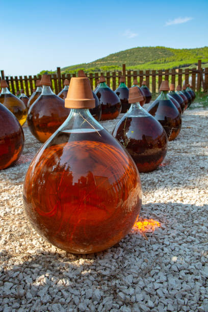 مقاله نقشه راه ساخت پلتفرم B2B و مشاوره دیجیتال مارکتینگ برای صادرات هوشمند خشکبار - بطری شراب با خوشه انگور و خشکبار - پلتفرم B2B، صادرات خشکبار، دیجیتال مارکتینگ صادراتی