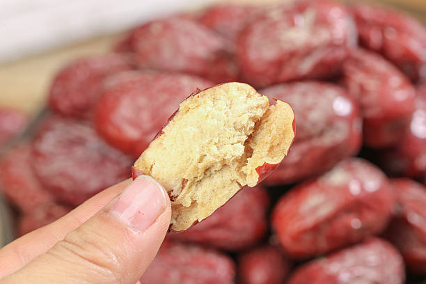 دست در حال نگهداشتن گیاهان دارویی خشک شده، نمادی از صادرات گیاهان دارویی ایلام و فرصتهای توسعه بازار جهانی