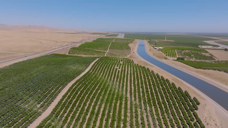 لجستیک و زنجیره تامین هوشمند پسته برای صادرات | طراحی سایت B2B با UX برای جذب صادرکنندگان