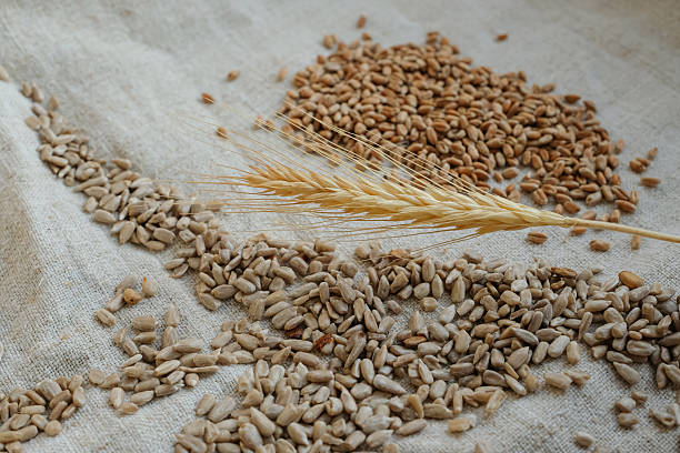 صادرات محصولات نساجی و راهنمای جامع سئو B2B و ساخت CRM برای کارخانجات نساجی یزد در سال ۱۴۰۵ - مواد اولیه نساجی