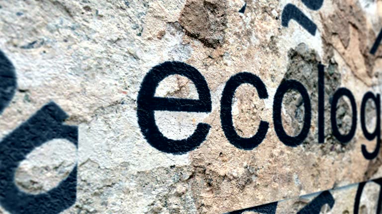 تصویری مفهومی از اکولوژی و طبیعت که نشاندهنده پایداری در اقامتگاههای بومگردی و ارتباط آن با طراحی سایت با هوش مصنوعی برای برندینگ و جذب توریست جهانی است.