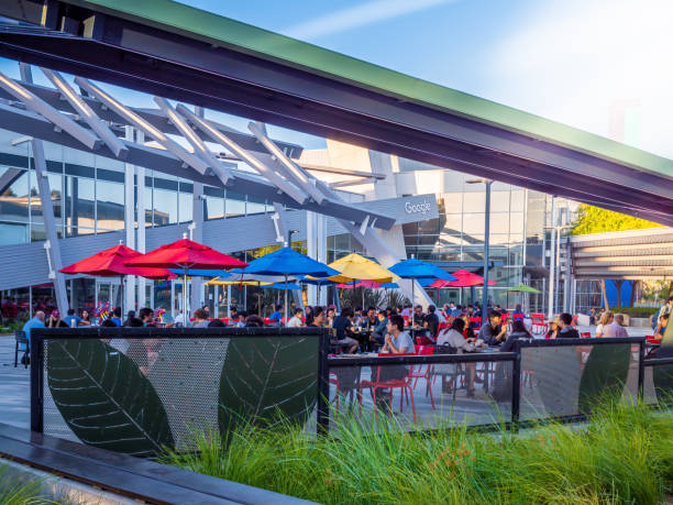 کارمندان در حال استراحت و ناهار در گوگل - استراتژی صدرنشینی در سئو جستجوی صوتی و دیجیتال مارکتینگ برای رستورانهای بینالمللی گیلان