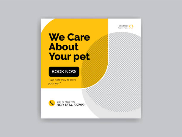 بازاریابی دیجیتال دامپزشکی گرگان، سئو کلینیک دامپزشکی، طراحی وبسایت، افزایش بیماران دامپزشکی، بنر شبکههای اجتماعی