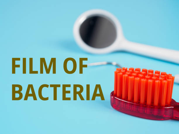 تحول برندینگ دیجیتال کلینیکهای دندانپزشکی اصفهان با طراحی سایت مبتنی بر واقعیت افزوده (AR): نمایش آموزشی میکروبها در دهان از طریق AR برای آگاهیبخشی بیماران و بهبود برندینگ دیجیتال.