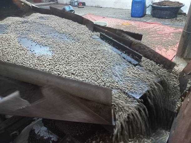 فروش تجهیزات آبزیپروری به صورت آنلاین