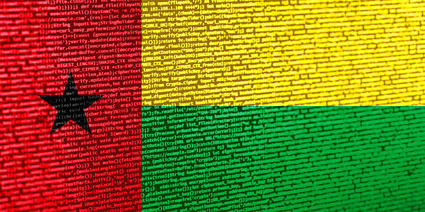 پرچم گینه بیسائو بر فراز کد دیجیتال - بلاکچین در شیلات، ردیابی محصولات آبزی، تضمین اصالت ماهی