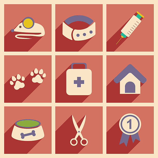 طراحی وبسایت برای کلینیک حیوانات خانگی در تهران و بهینهسازی دامپزشکی