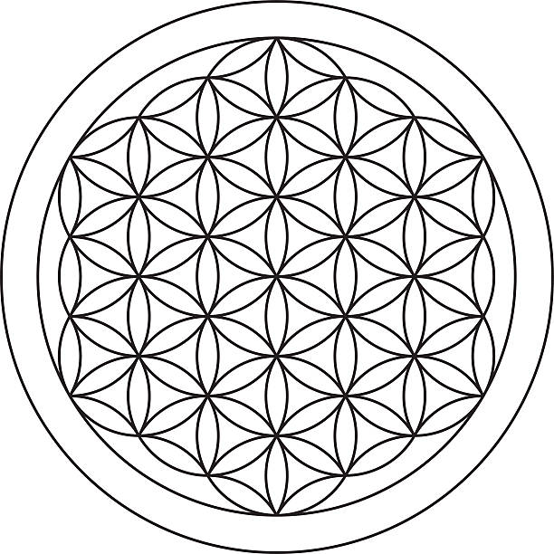 طراحی وبسایت فروشگاهی برای پکیج های گردشگری سلامت