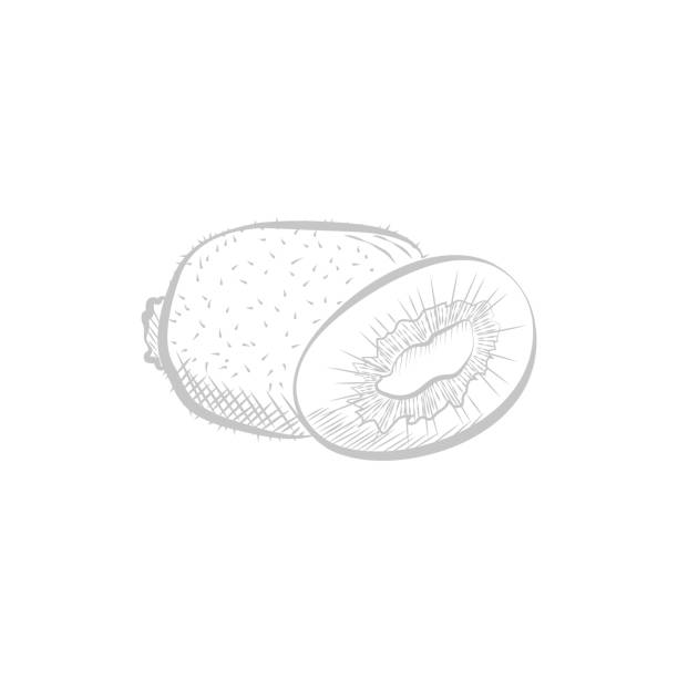 فروش آنلاین کیوی با طراحی سایت D2C