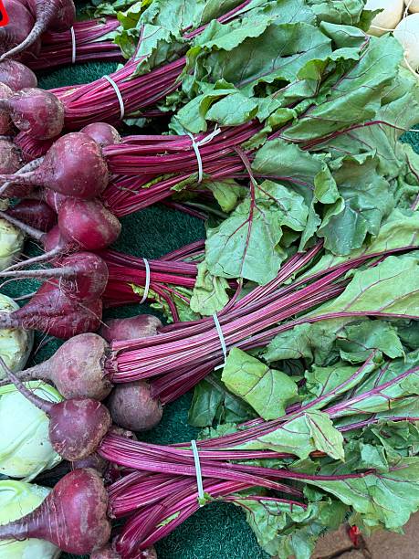 چغندرهای تازه برداشت شده در بازار کشاورزان. طراحی سایت D2C و سئو محلی برای فروش مستقیم محصولات کشاورزی، بازاریابی دیجیتال کشاورزی، کسب و کار کشاورزی آنلاین.