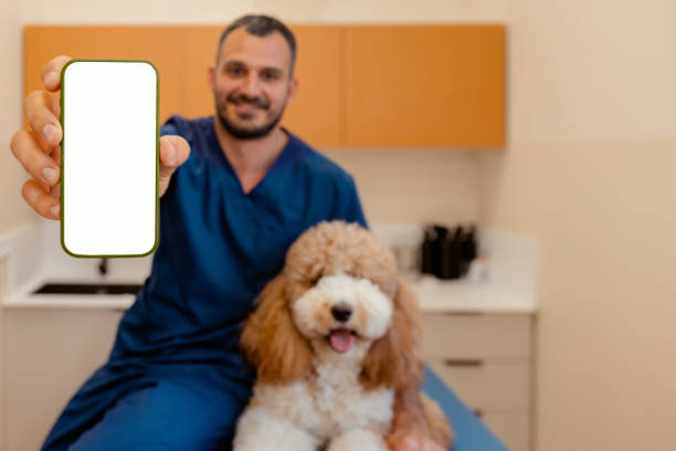 دیجیتال مارکتینگ دامپزشکی در کرمانشاه: ارتباط با دامداران از طریق PWA و پشتیبانی آنلاین