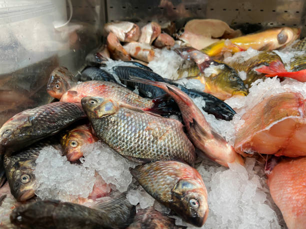 نمایش ماهی تازه منجمد در بازار - صادرات ماهی، بازار جهانی محصولات دریایی، تضمین اصالت ماهی